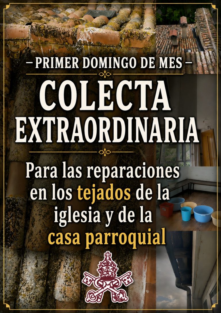 Imagen colecta extraordinaria