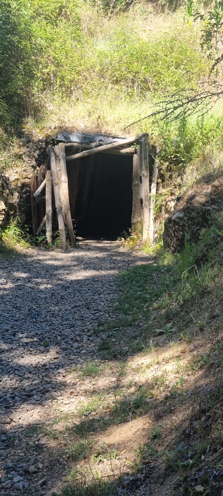 Minas 11