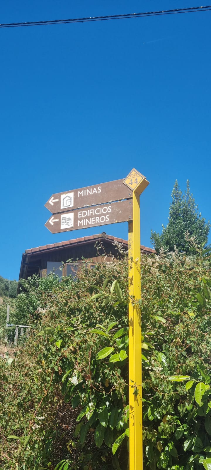 Minas 13