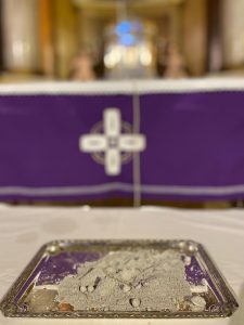 WhatsApp Image 2026-02-19 at 10.26.18